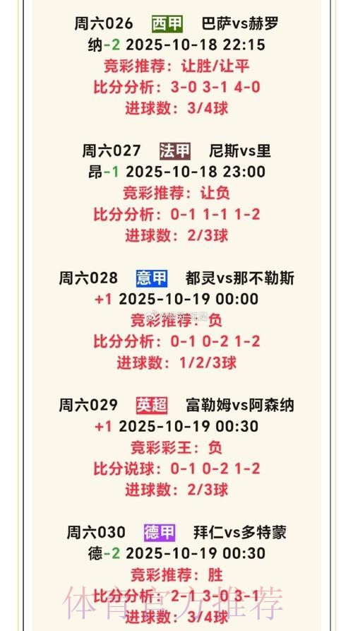 世界杯投注全站深度解读